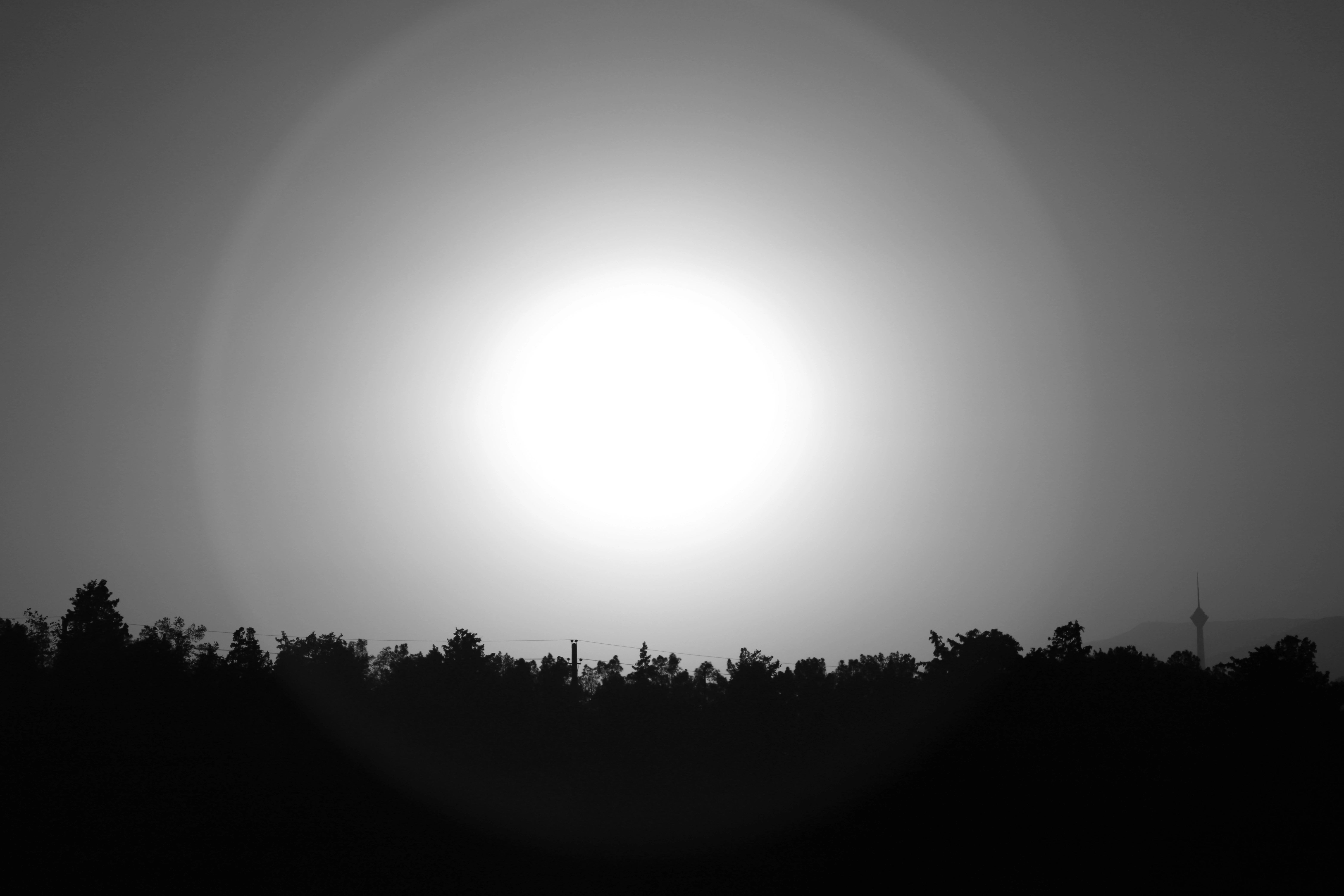 The Circle Of Light