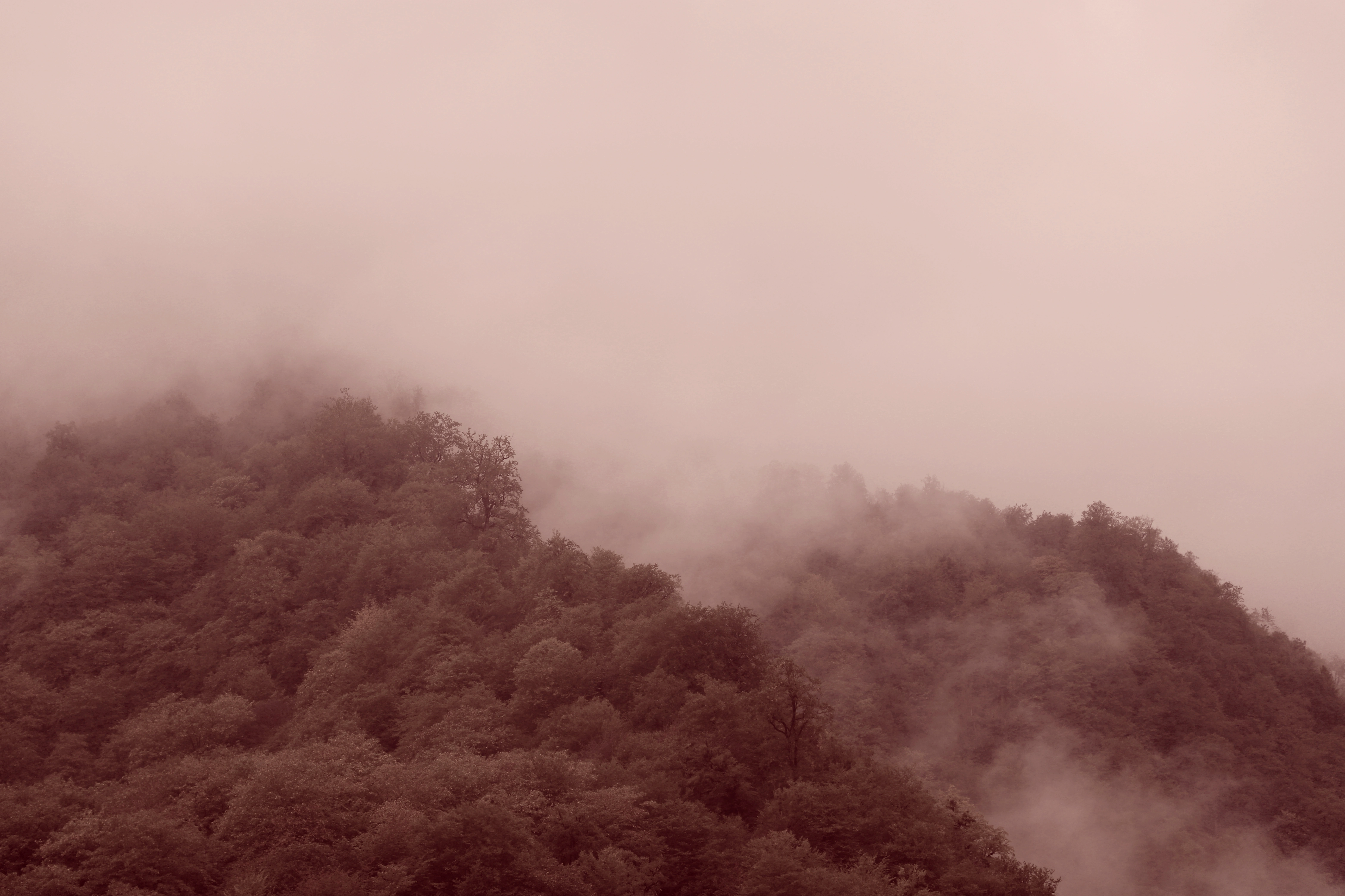 Fog