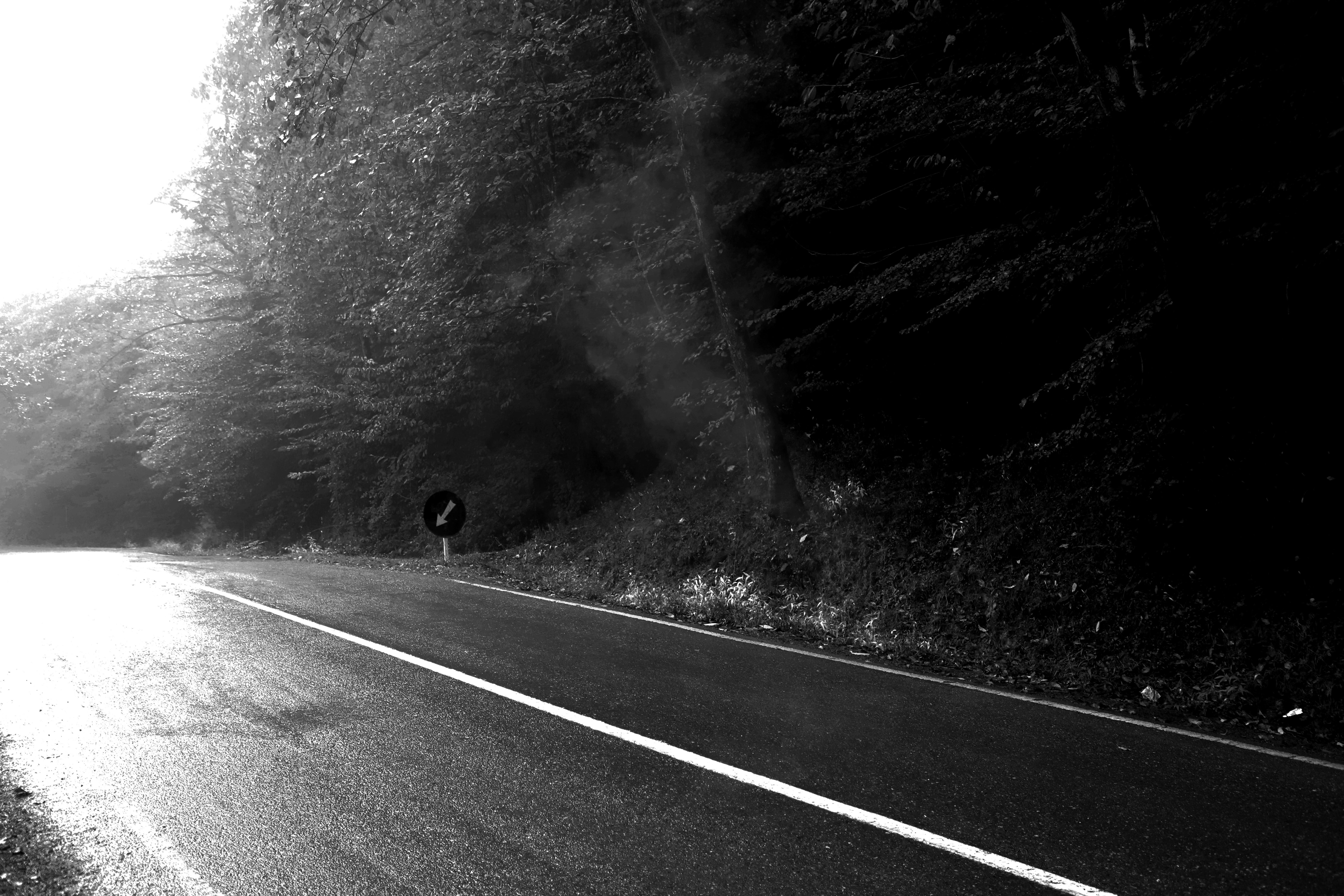 Foggy Road